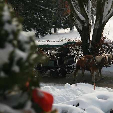 Pension Wolfgangsee Saint Wolfgang Dış mekan fotoğraf