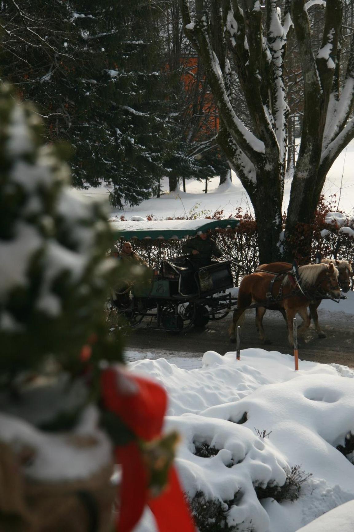 Pension Wolfgangsee Saint Wolfgang Dış mekan fotoğraf